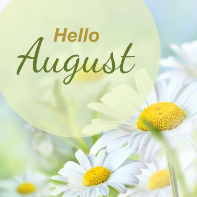 the words hello august are in front of some daisies