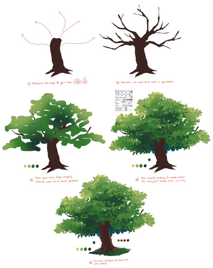 four different types of trees with leaves and branches on the top, bottom, and bottom