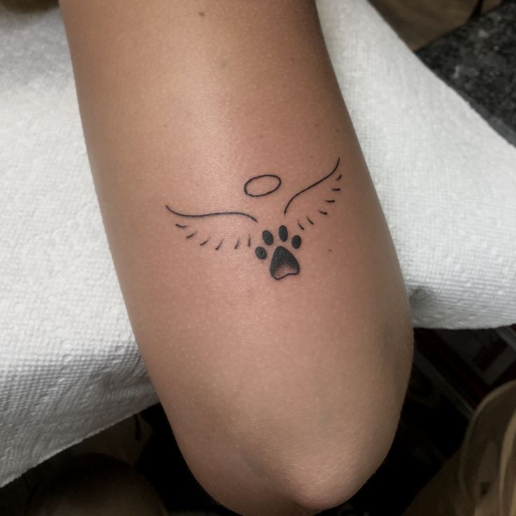 a person with a dog paw tattoo on their arm