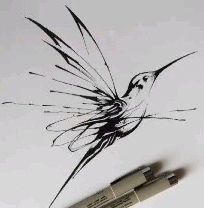 a drawing of a hummingbird with its wings spread out