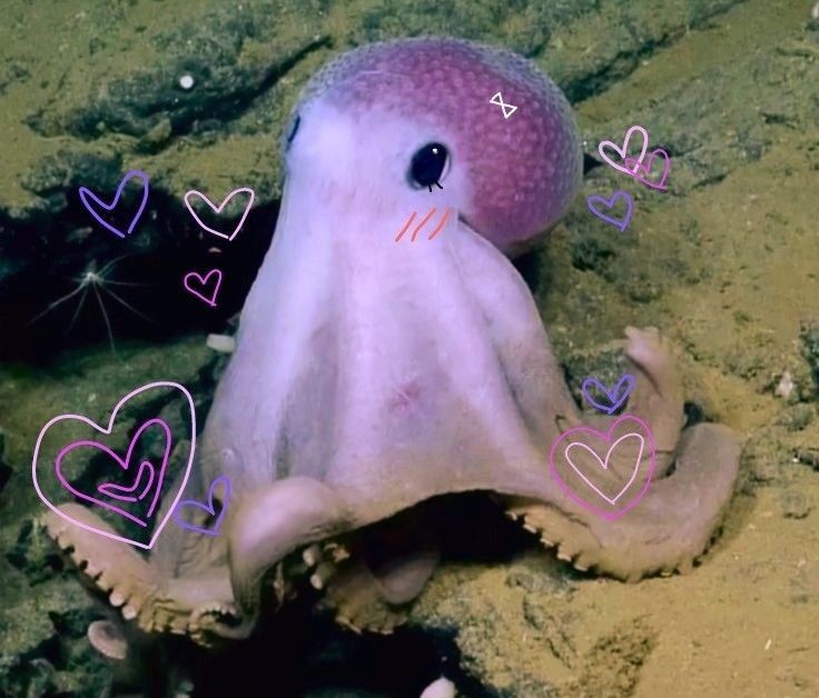 an octopus with hearts drawn on it's face sitting in the sand next to rocks