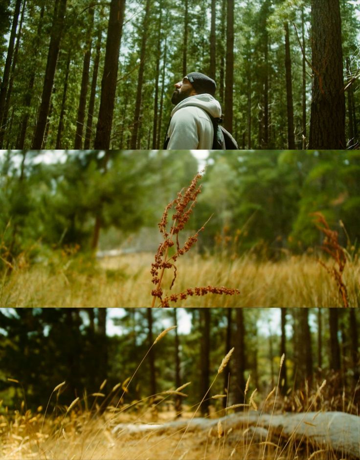 three different shots of a man in the woods