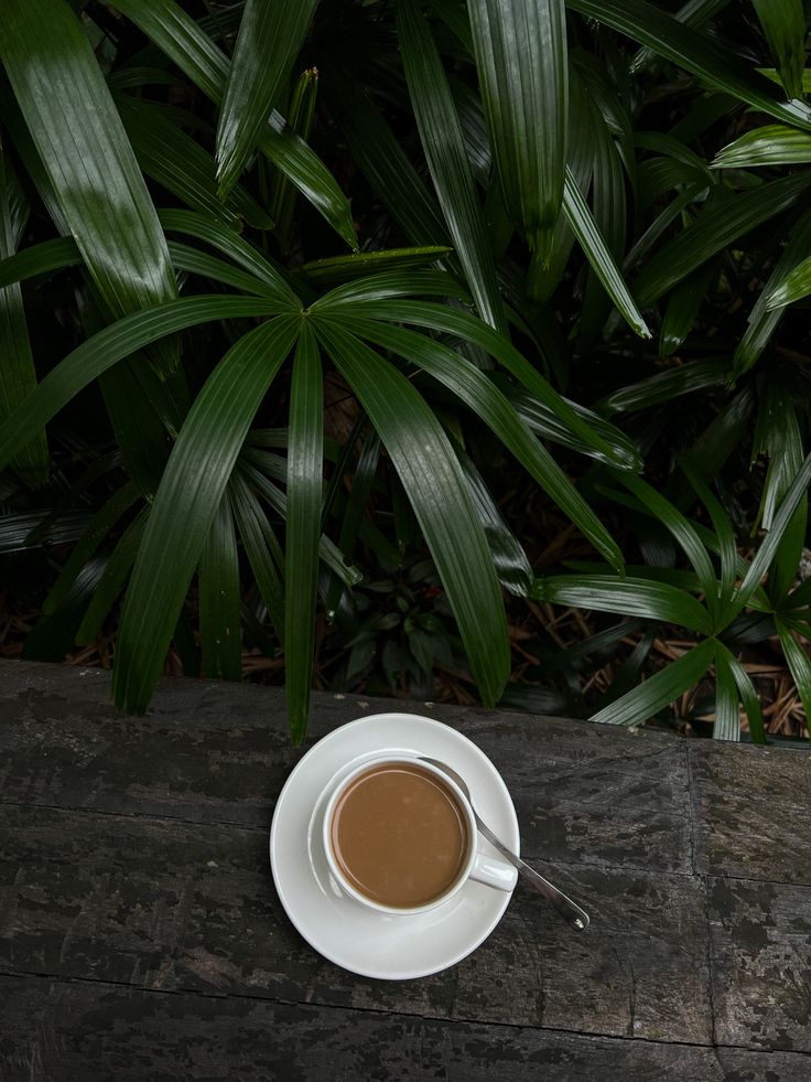 a cup of coffee sitting on top of a wooden table next to green plants and leaves