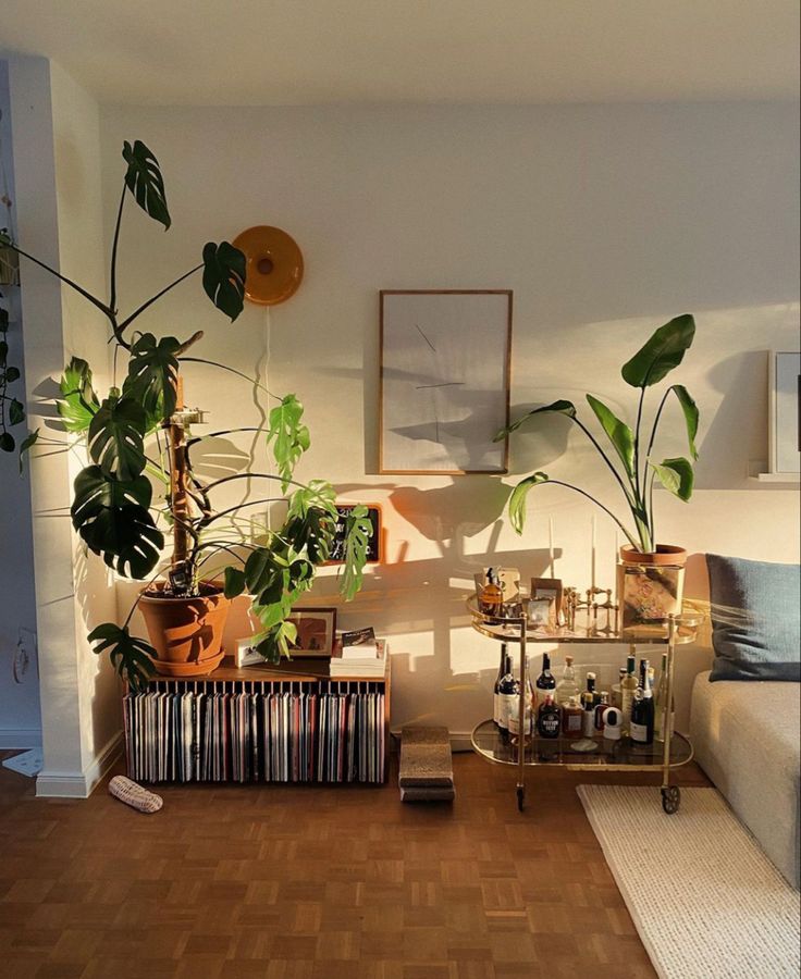 a living room filled with lots of plants