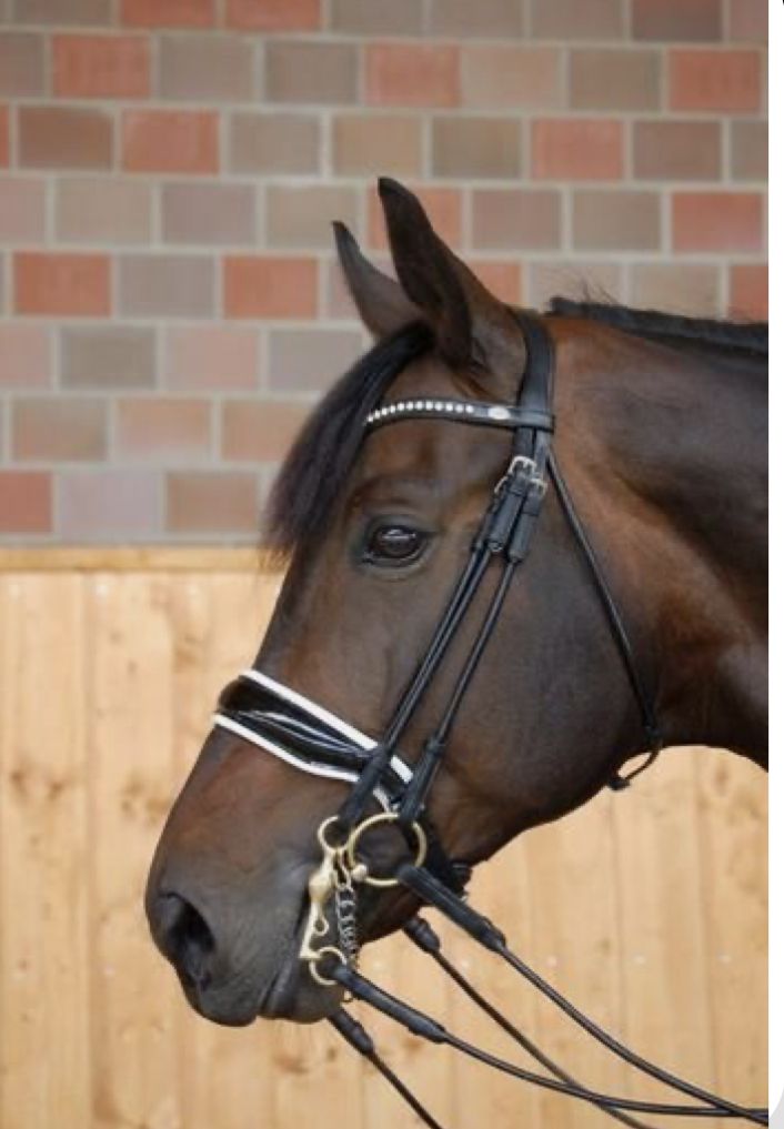 a brown horse standing in front of a brick wall next to a wooden fence with a bridle on it's head