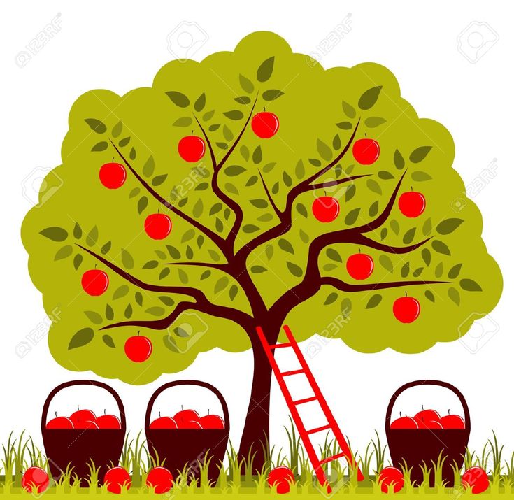 an apple tree with apples in buckets under it and a ladder to pick them