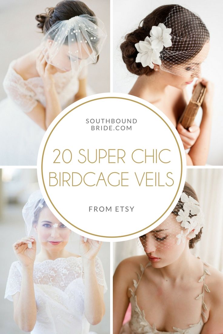 the top 20 super chic birdcage veils from etsy