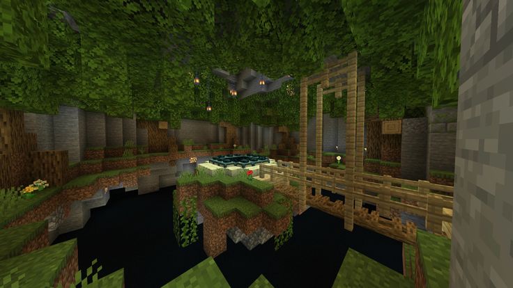 an image of a minecraft environment