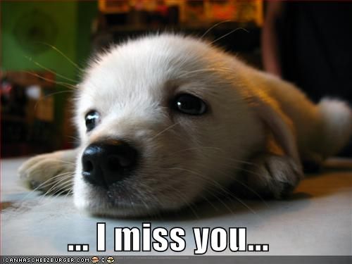 a white dog laying on top of a table next to a persons leg and the caption not emo us missin mom