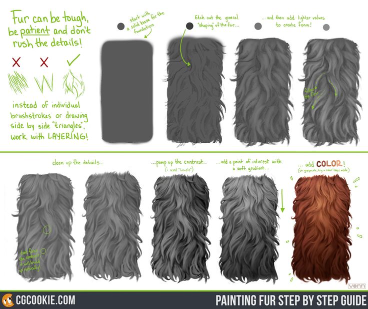 the step by step guide for painting fur