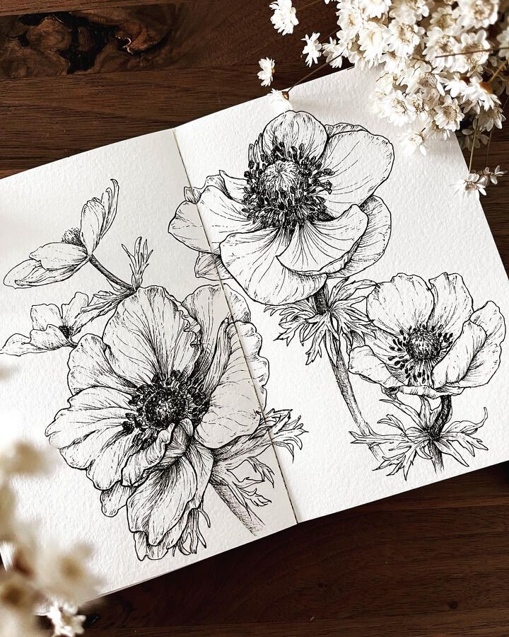 two drawings of flowers on top of a wooden table next to some dried white flowers