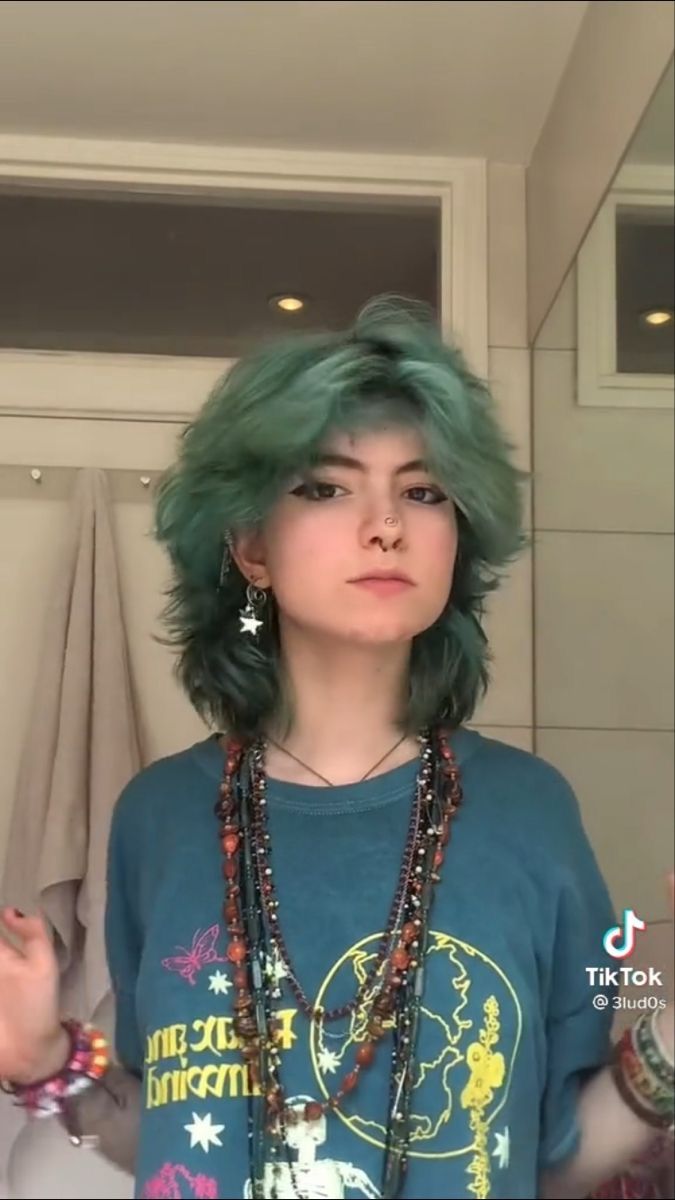 Cool Short Hair Color Ideas, Split Dye Hair Colors, Medium Punk Hairstyles, Cool Hair Dye Ideas For Short Hair Alt, Medium Length Haircut Nonbinary, Short Boyish Haircut, Floofy Hair Girl, Fluffy Dyed Hair, Short Alt Mullet