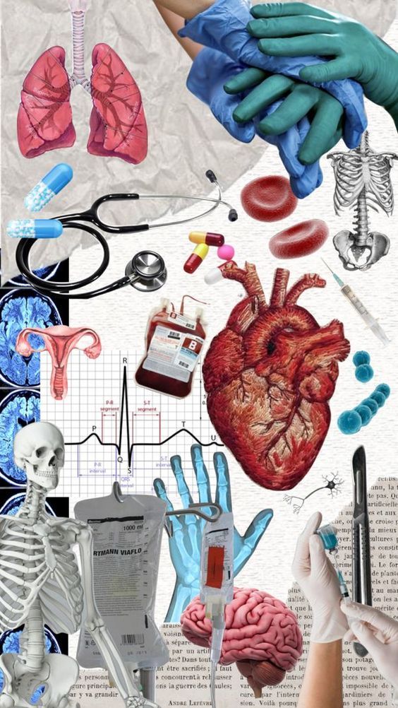 medical collage with hands, heart, lungs and other items