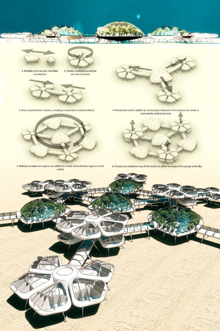 Extreme Habitat Challenge 2020 Jetty Design Architecture, Under Water Architecture, Resort Design Concept, Eco Architecture Concept, Resort Concept Architecture Ideas, Fish Architecture Concept, Pacific Architecture, Biophilic Architecture Concept, Turtle Design Concept Architecture