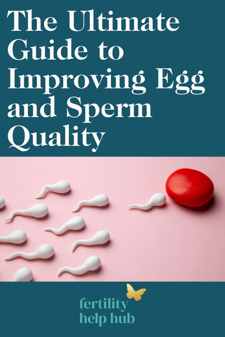 the ultimate guide to imppoing egg and sperm quality by ferrity help