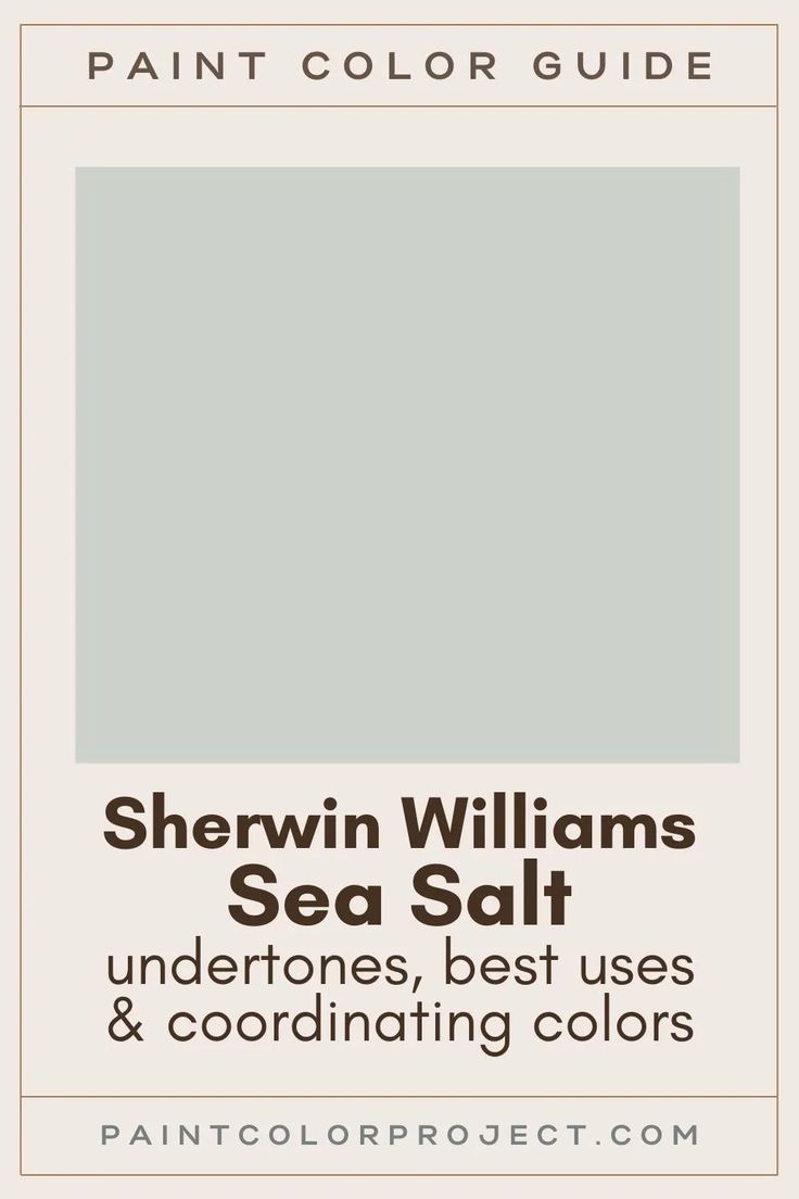 sherylin williams sea salt undertones, best uses and coordinating colors for painting