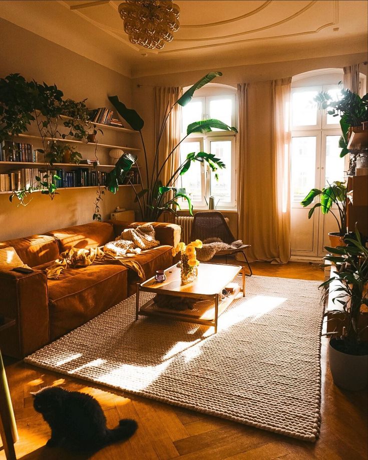 a living room filled with lots of furniture and plants on top of a hard wood floor