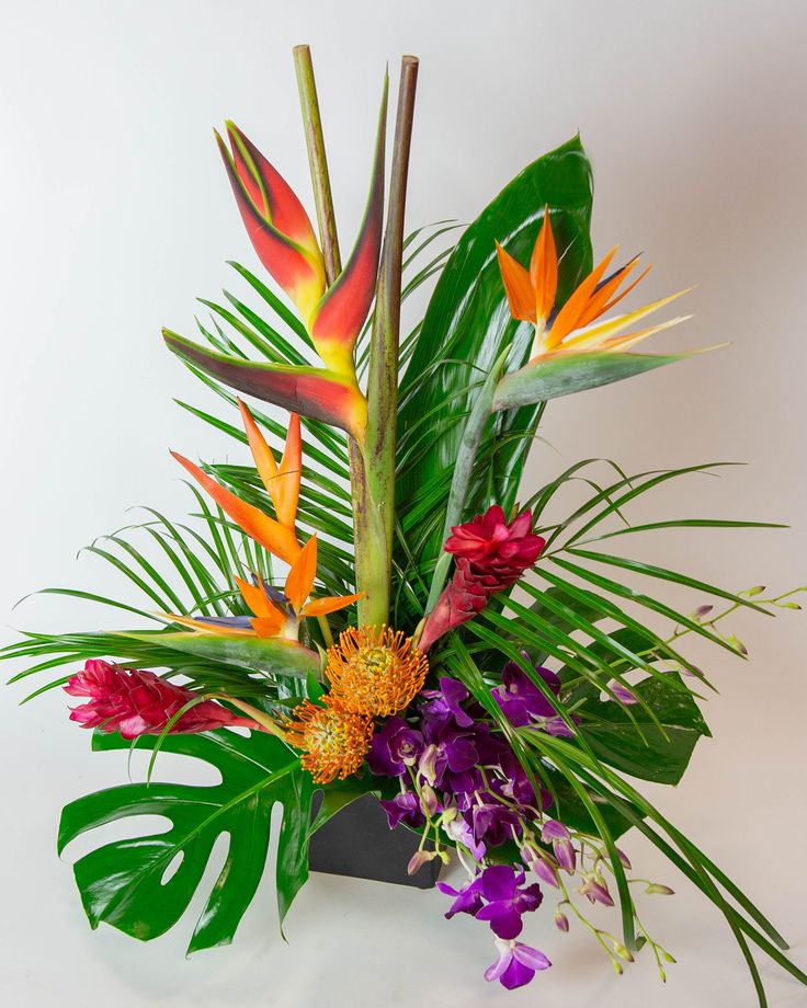 an arrangement of tropical plants and flowers on a white background