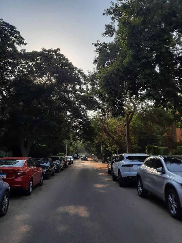 several cars parked on the side of a road in front of some trees and buildings