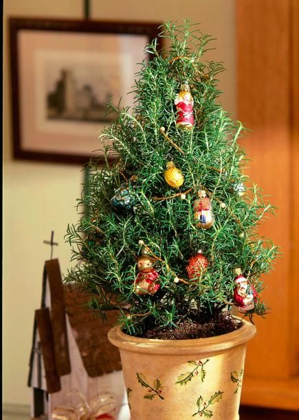 a small christmas tree in a pot with ornaments on it's top and other decorations around the base