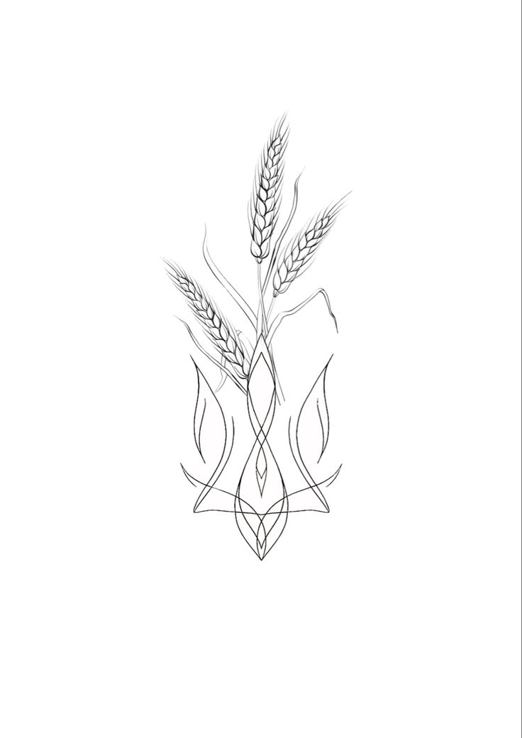 a black and white drawing of wheat stalks