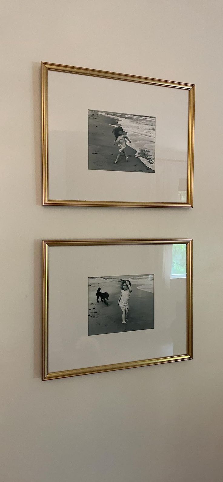 two framed pictures hang on the wall next to each other, one with a dog