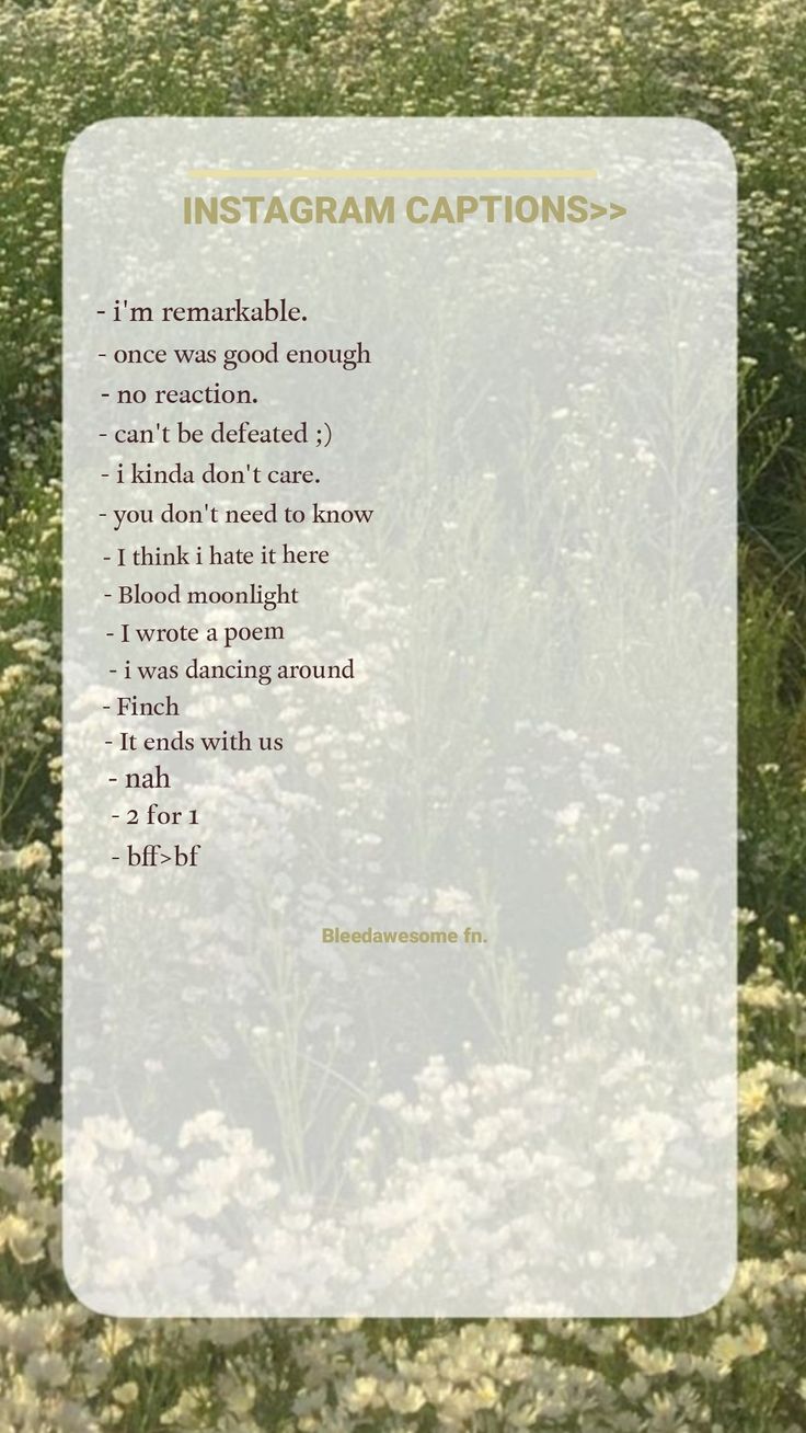 an instagram caption with white flowers in the foreground and text below it