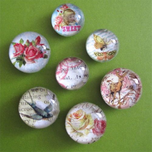 six glass magnets with images of birds and flowers on them, all in different colors