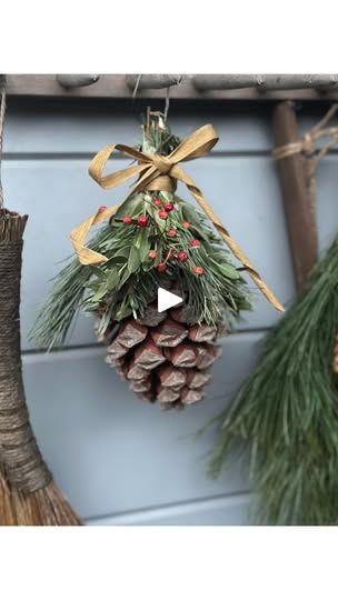 two pine cones are hanging from a tree branch and one has a bow on it