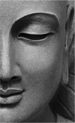 a black and white photo of the face of a buddha statue with his eyes closed