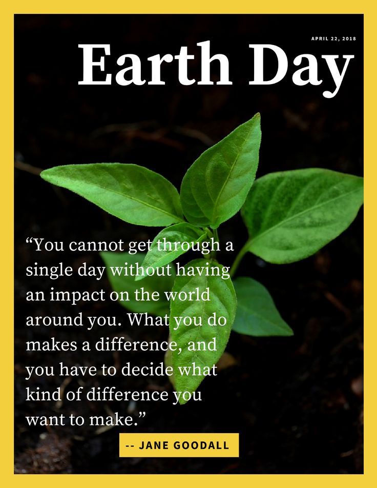 a quote from jane goodall about earth day with a green plant in the background