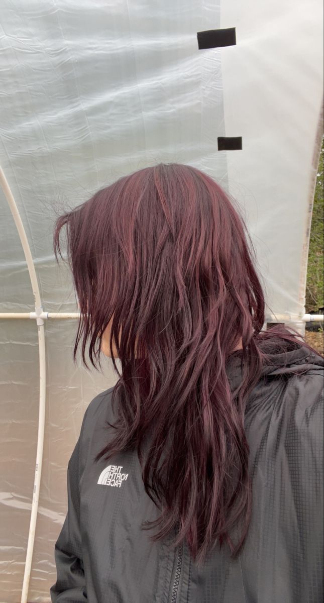 #hair #shagcut #medium #cranberry #outdoors Cranbaby Hair Color, Cranberry Hair Color, Cranberry Hair, Shaggy Haircut, Fried Hair, Shaggy Haircuts, Hair Stylist Life, Hair Color Trends, Grow Hair