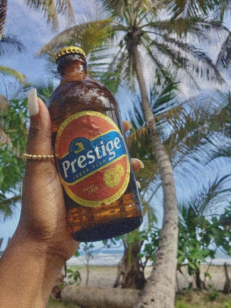 a hand holding a bottle of prestige beer in front of palm trees and the ocean