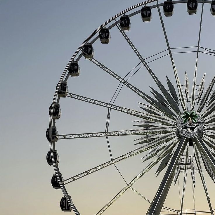 a large ferris wheel sitting in the middle of a field