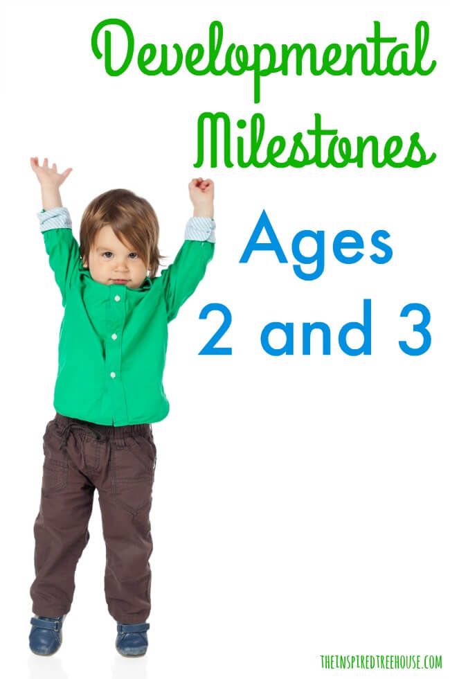 a young boy standing in front of a white background with the words developmental milestones ages 2 and 3