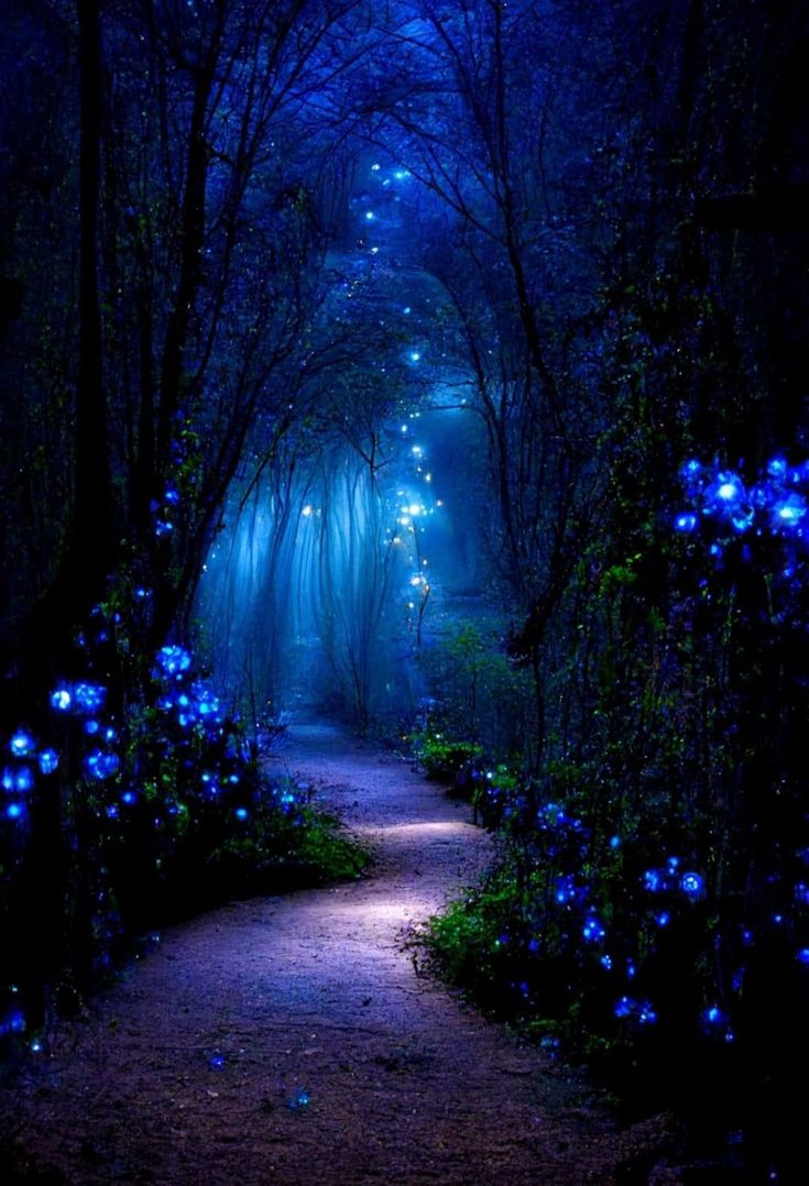 a path that is lit up with blue lights in the middle of a dark forest