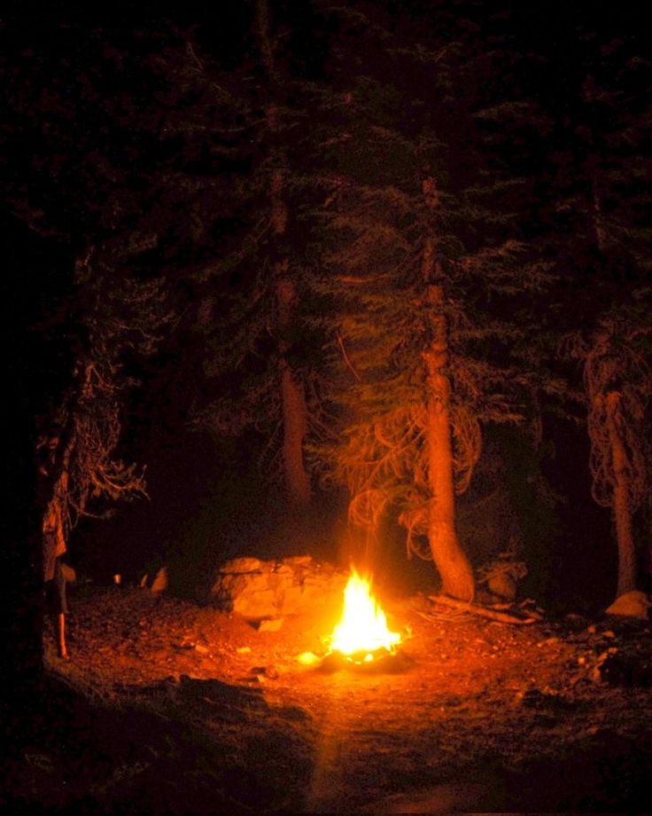 a campfire in the woods at night