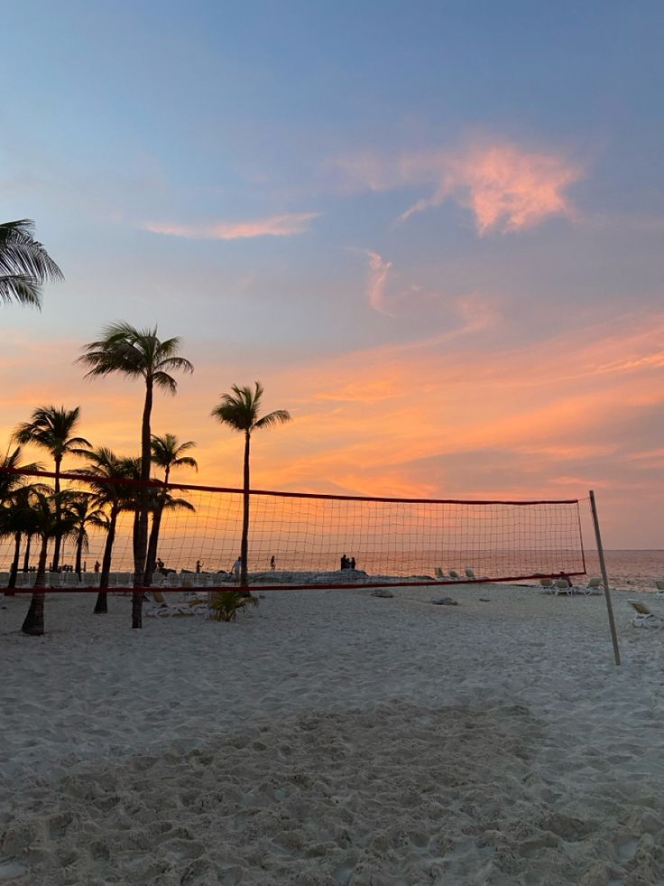 a volleyball net on the beach with palm trees in the foreground and an orange sunset behind it