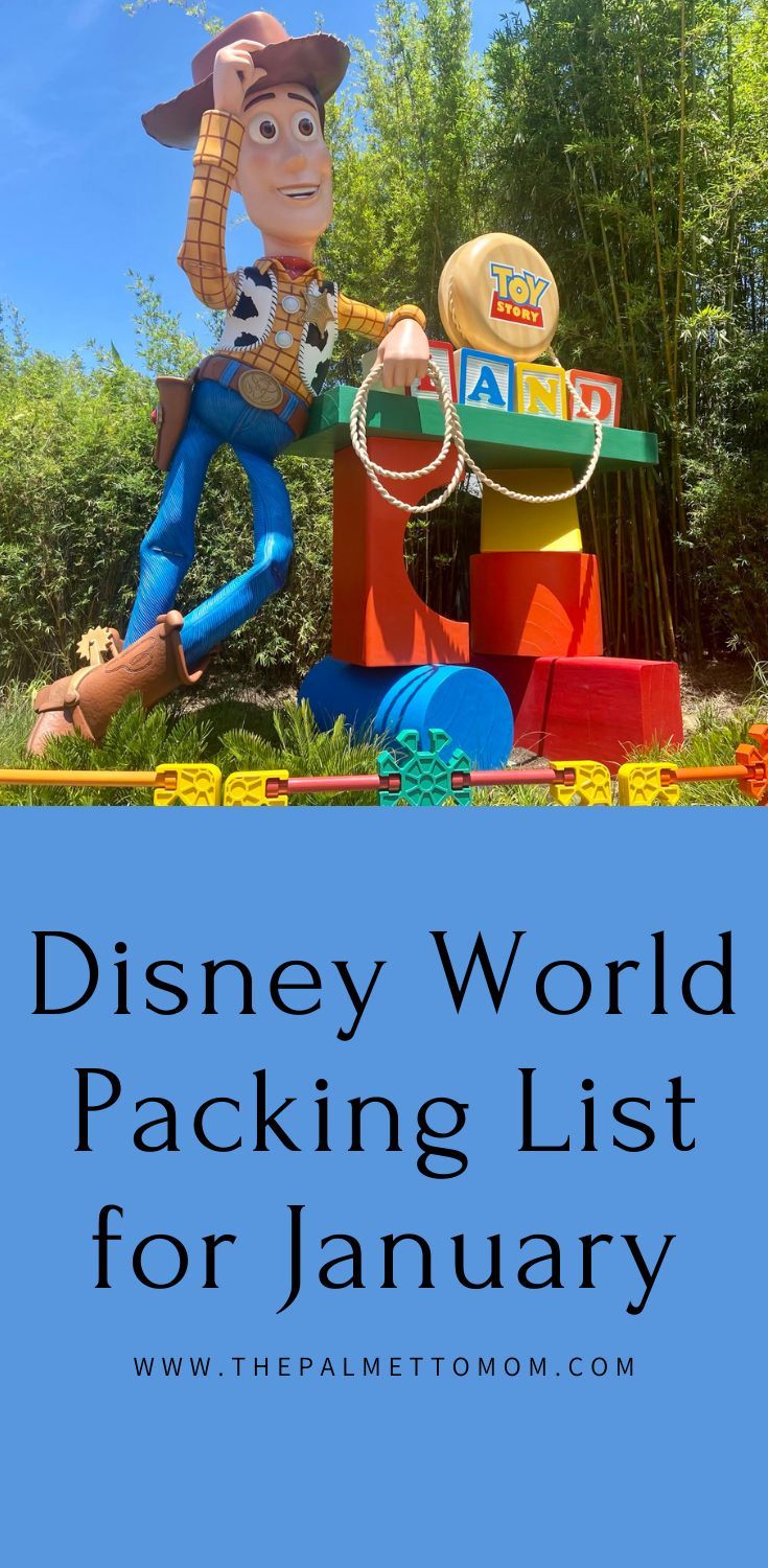 the disney world packing list for january