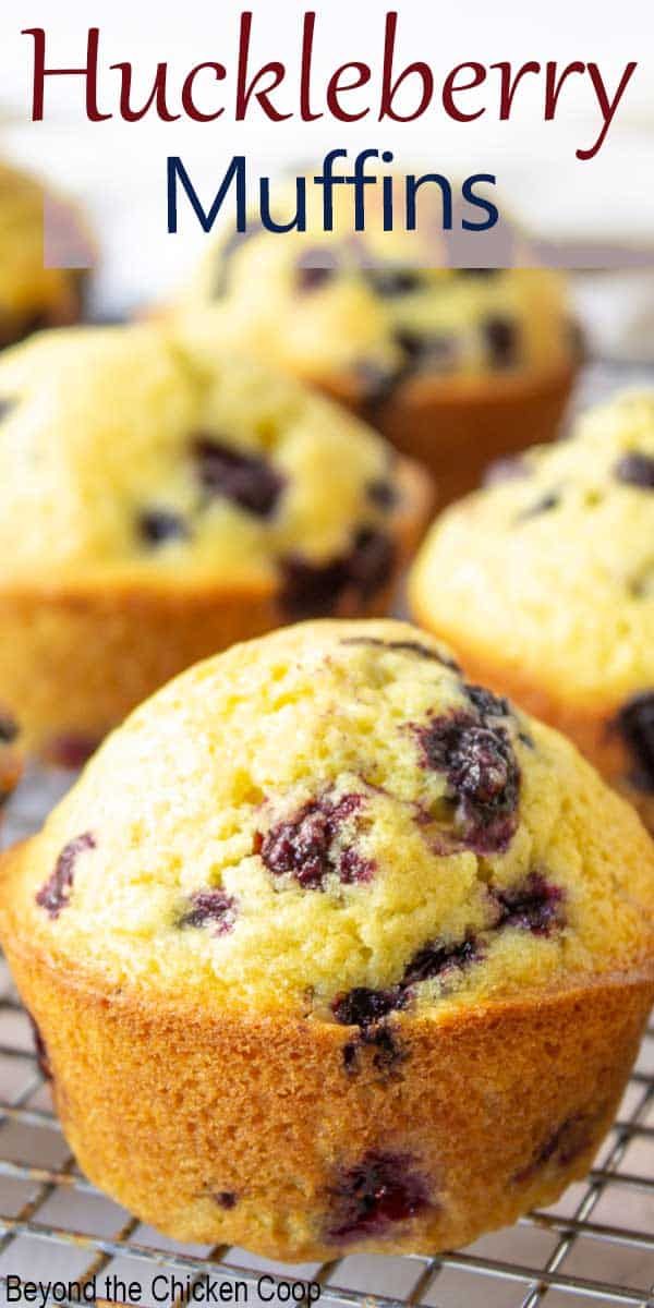 blueberry muffins cooling on a wire rack