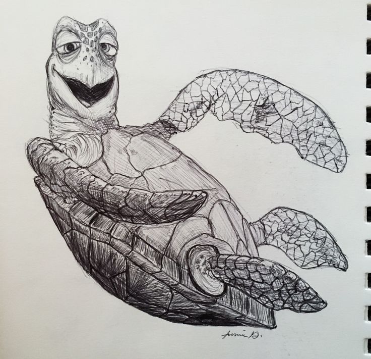 a pencil drawing of a turtle