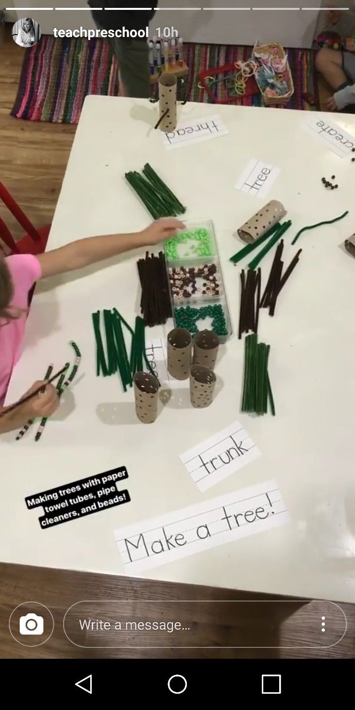 Tree Provocations Preschool, Tree Investigation Preschool, Tree Study Creative Curriculum Preschool Art, Tree Study Kindergarten, Tubishvat Crafts Preschool, Forest Unit Preschool, Forest Lesson Plans Preschool, What Grows On Trees Preschool, Trees Unit Preschool