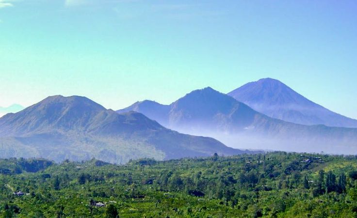 the mountains are covered with trees and grass