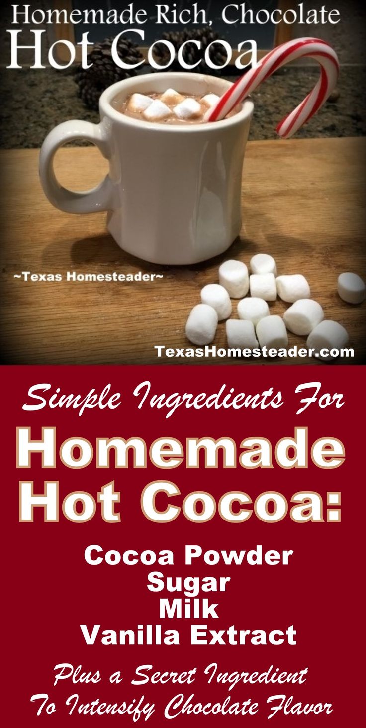 Easy Homemade Hot Cocoa Recipe. ~ Texas Homesteader ~ Hot Cocoa Recipe With Milk, Hot Cocoa With Water, Droste Cocoa Recipes, Make Hot Chocolate With Cocoa Powder, How To Make Homemade Hot Cocoa, Homemade Dark Chocolate Hot Cocoa, Easy Homemade Hot Cocoa, The Best Homemade Hot Chocolate, Recipe For Hot Cocoa