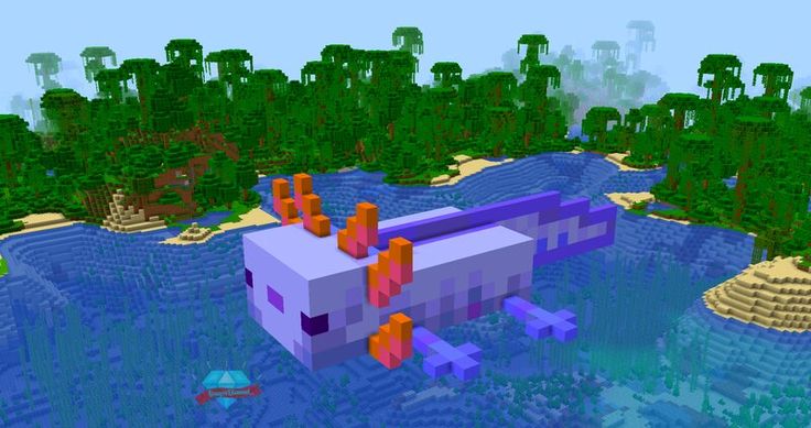 💙 Minecraft Blue Axolotl House 💙 Minecraft Map Minecraft Axolotl Build Ideas, Minecraft Ocean House Ideas, Axolotl Statue Minecraft, Minecraft Axolotl Habitat Build, Axolotl House Minecraft, Axolotl Sanctuary Minecraft, Blue Axolotl Minecraft, Axolotl Minecraft Build, Minecraft Axolotl Build