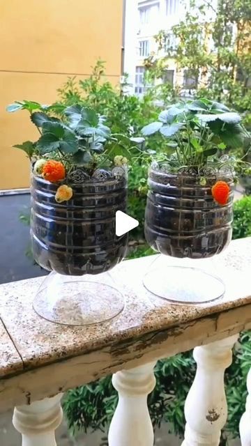 three pots with plants in them on a balcony