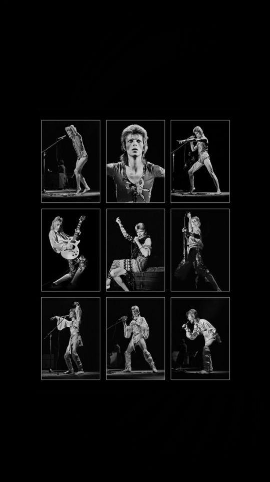 black and white photograph of elvis presley performing on stage in six different poses with microphones