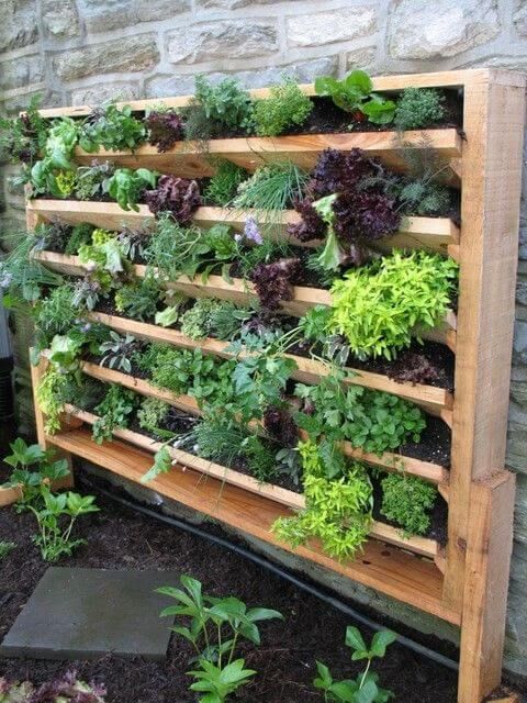 an outdoor garden with lots of plants growing on the side of it and wooden pallets