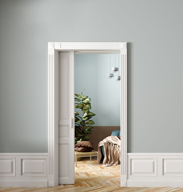 an open door leading to a living room with a plant in the corner and pillows on the floor