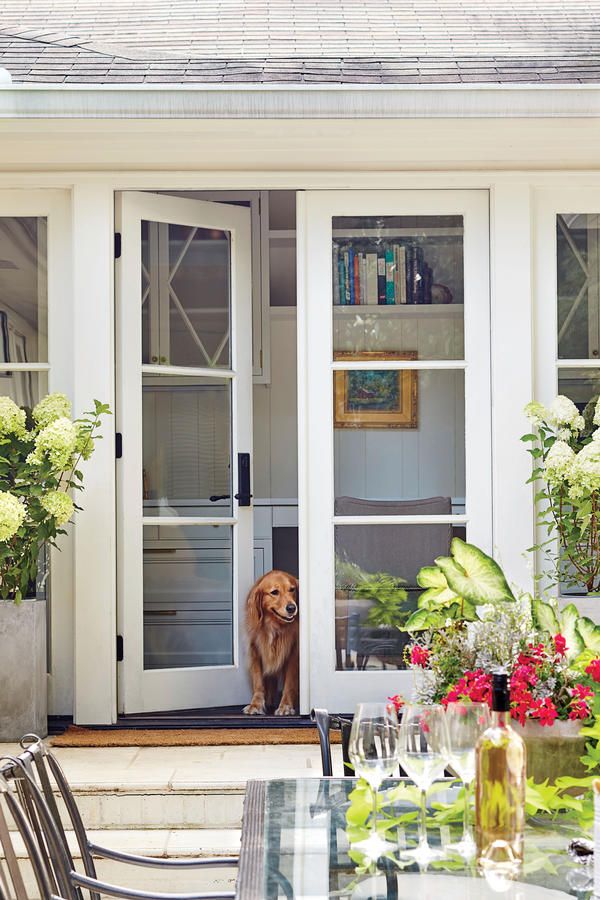 a dog sitting on the front steps of a house with flowers and greenery around it